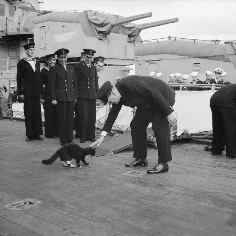 Imagen: Winston Churchill con un gato de embarcación. Wikimedia Commons